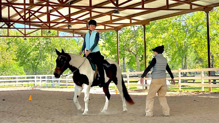 Best place for horse riding in The Woodlands.